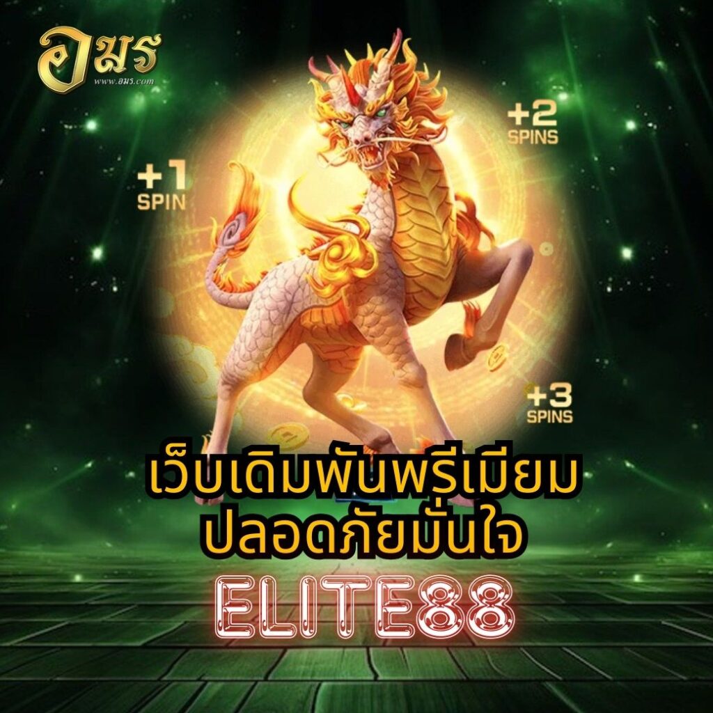 เว็บเดิมพันพรีเมียมปลอดภัยมั่นใจ ELITE88