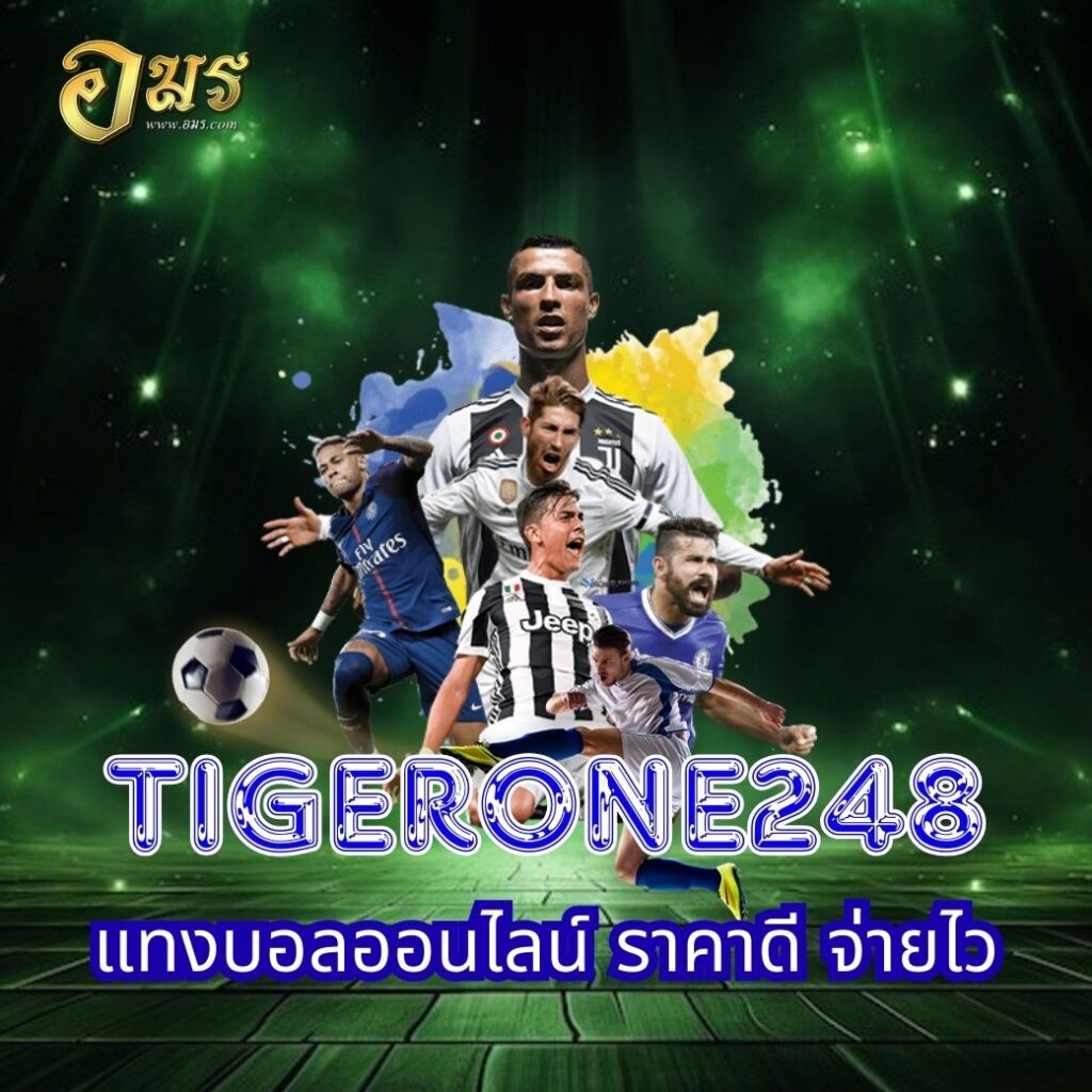 TIGERONE248 แทงบอลออนไลน์ ราคาดี จ่ายไว